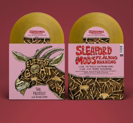 Elitest G.O.A.T. (The Prodigy Acid Thunder Mix)