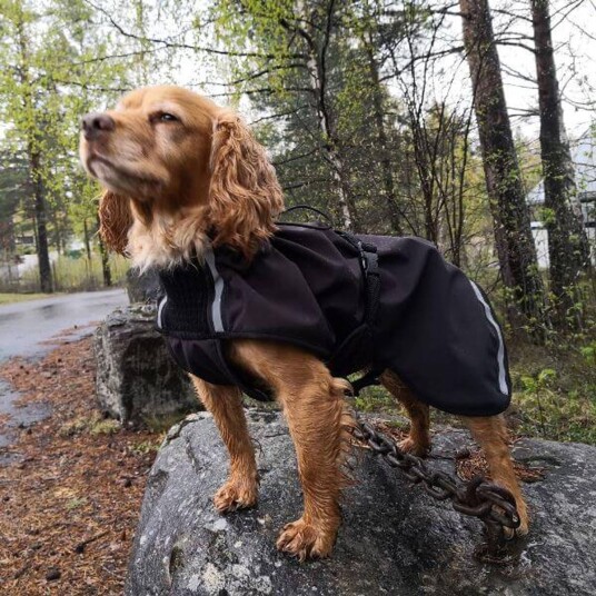 Canelana Softshell Vind- og Regndekken til Hund XL Sort