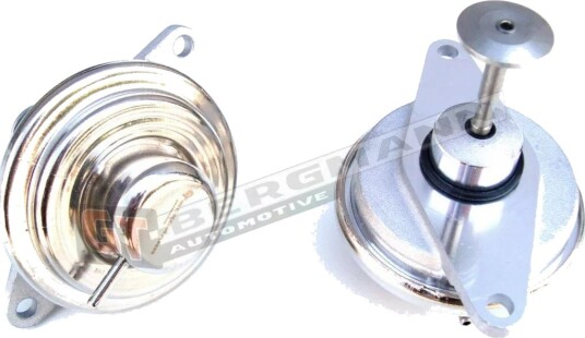 GT-BERGMANN GT55-027 EGR-ventil