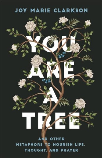You Are a Tree  And Other Metaphors to Nourish Life, Thought, and Prayer