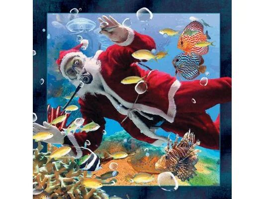 Worth Keeping Verdt å beholde 3D Diving Santa Postkort Worth Keeping Verdt å beholde 3D Diving Santa Postkort