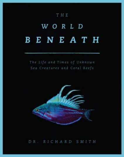 The World Beneath Av Richard Smith