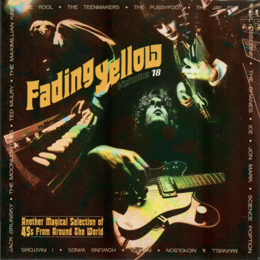 Diverse Artister Fading Yellow V18 CD