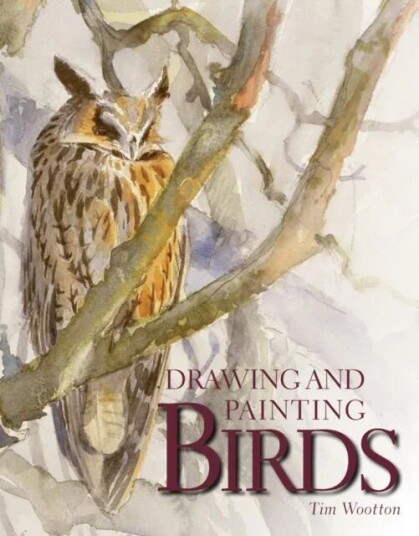 Drawing And Painting Birds Av Tim Wootton