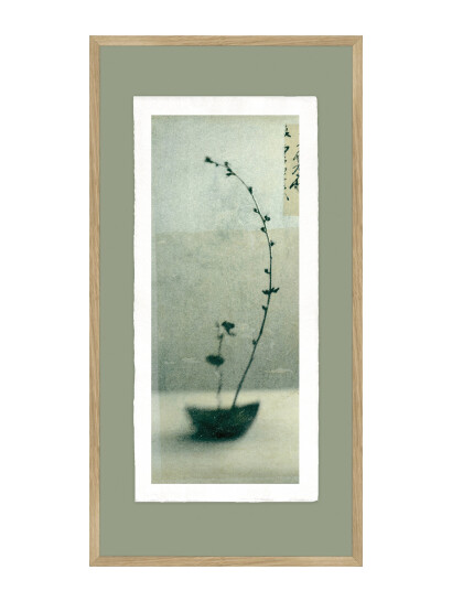 Incado Artist Paper - Growing - Multi/patterned - 52X102CM x 102