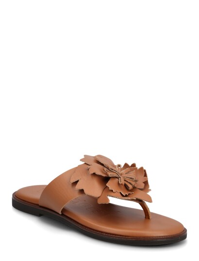 Wonders Musa 87K Brown 36