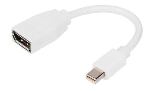 DIGITUS DisplayPort adapter Mini DisplayPort to DisplayPort 15 cm