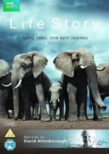 Life Story Bbc Earth Life Story Bbc Earth