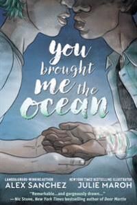 You Brought Me The Ocean: An Aqualad Graphic Novel Av Alexander Hitz-Sanchez, Julie Maroh