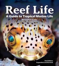 Reef Life Av Michael Scott
