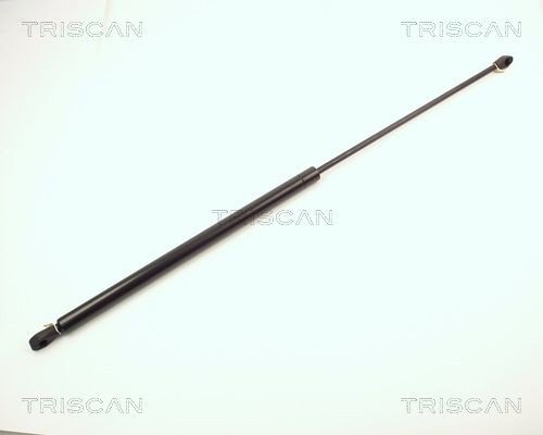 Gassfjær/bakluke demper TRISCAN 8710 2004