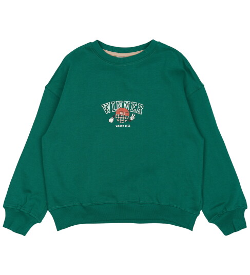 The New Alpine Green Paul Oversize Collegegenser 5-6 år