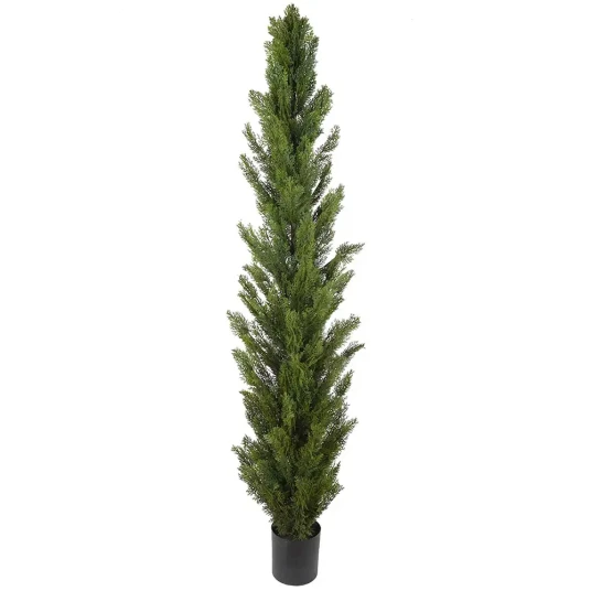 Mr Plant Cypress Tre 180 cm Mr Plant Cypress Tre 180 cm