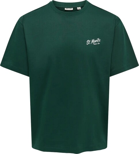 ONLY & SONS Onsfred Life Rlx Ss Print Tee Vd PINE GROVE XL