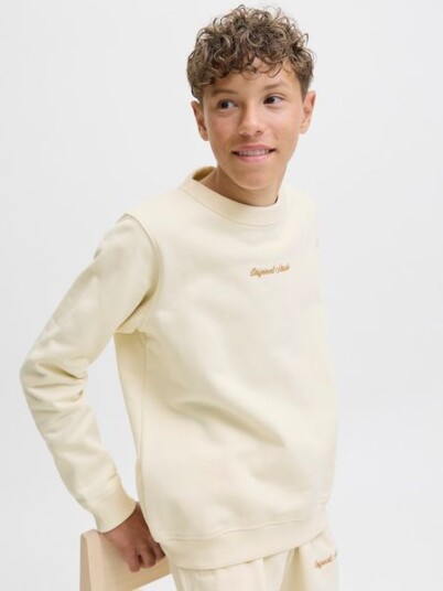 Jack & Jones Junior Antique White Jornorrebro Emb Sweat Crew Noos Jnr 152