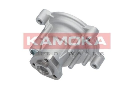 KAMOKA T0272 Vannpumpe