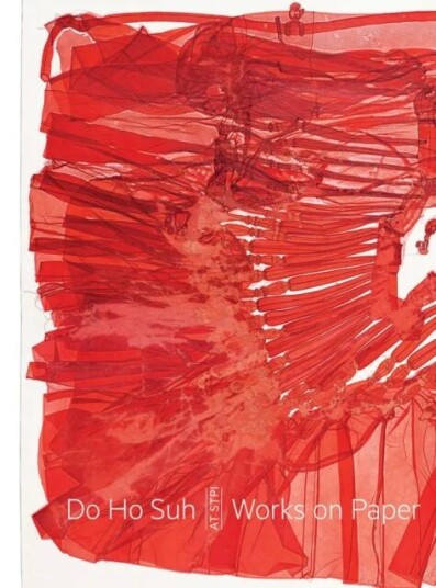 Do Ho Suh: Works On Paper At Stpi