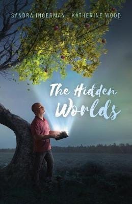 Hidden Worlds, The Av Sandra Ingerman, Katherine Wood