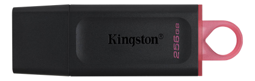 Kingston Datatraveler Exodia 256 Gb, Usb 3.2 Gen 1, Black/pink