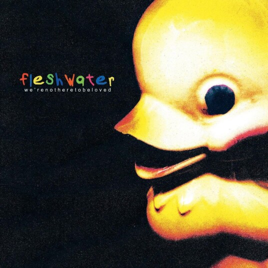 Fleshwater  We're Not Here To Be Loved  LP/Vinyl