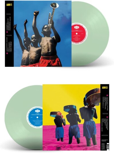 Common  A Beautiful Revolution Pt. 1 & 2  LP/Vinyl