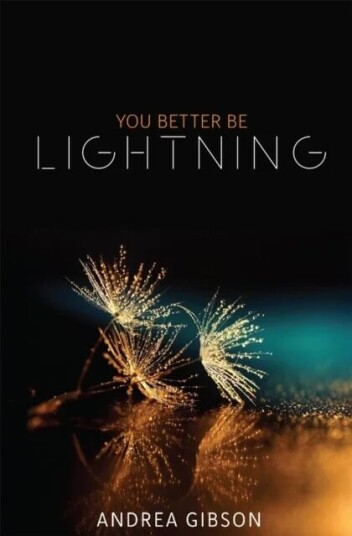You Better Be Lightning Av Andrea Gibson You Better Be Lightning Av Andrea Gibson