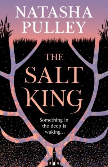 The Salt King