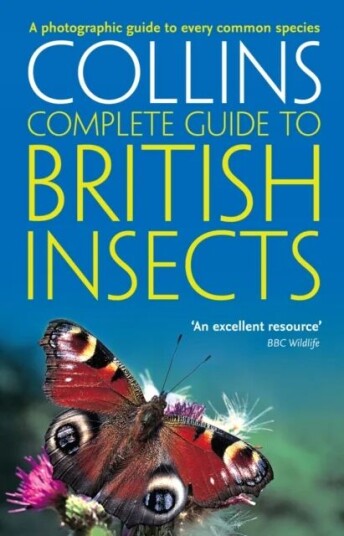 British Insects Av Michael Chinery