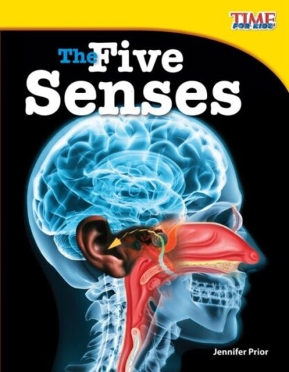 The Five Senses The Five Senses