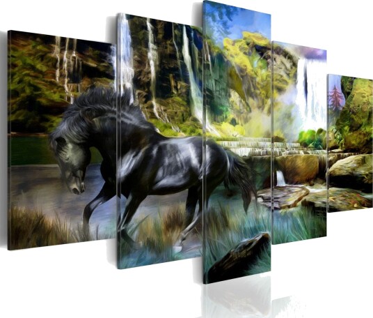 Bilde Black Horse Background Of Paradise Waterfall 100x50 Artgeist sp. z o. o.