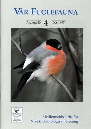 Norsk Ornitologisk Forening Vår Fuglefauna   1997 4 årgang 20