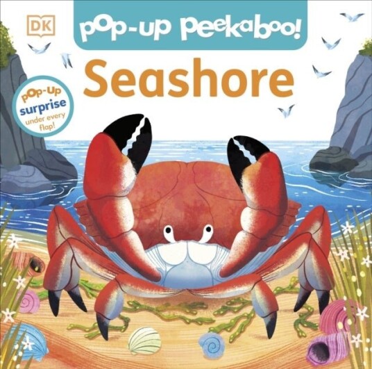 Pop Up Peekaboo! Seashore Pop Up Peekaboo! Seashore