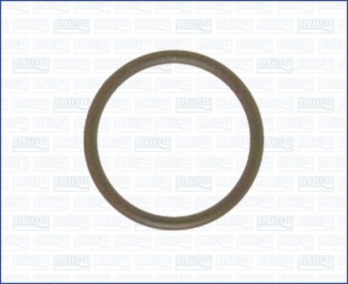 Tetning, innsugningsmanifold AJUSA 16051000