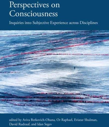 Perspectives on Consciousness