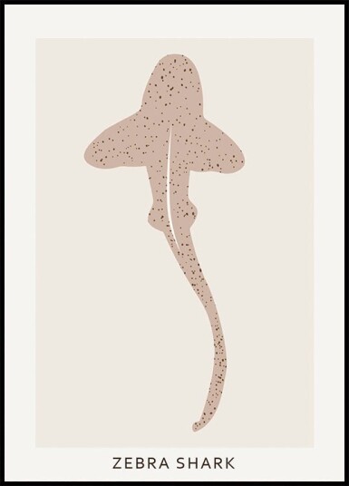 Zebra Shark Plakat Plakat / 70x100cm