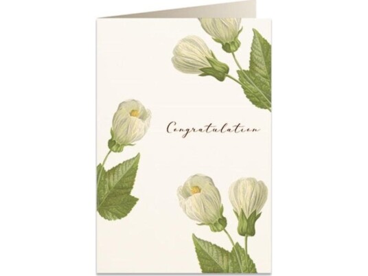 Tassotti Pass B6 + Envelope 6027 Congratulations Flowers