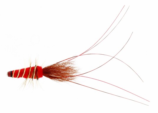 Flies Red Frances Tube 1" Red