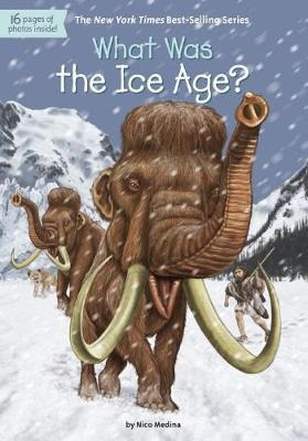 What Was the Ice Age? What Was the Ice Age?