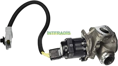 INTFRADIS 2561 EGR-ventil INTFRADIS 2561 EGR-ventil