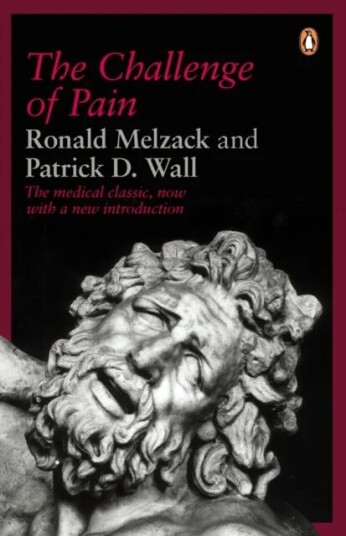 The Challenge of Pain av Patrick Wall, Ronald Melzack