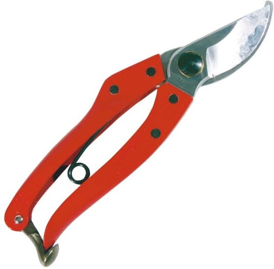 GoldenStar Hagesaks Golden Star Medium