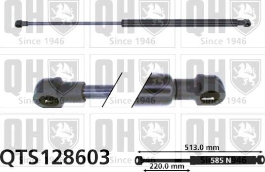 QUINTON HAZELL QTS128603 Baklukedemper