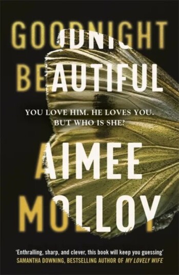 Goodnight, Beautiful Av Aimee Molloy