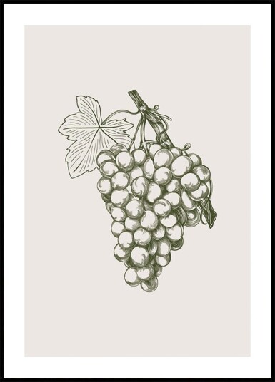 Grape Botanical Plakat Plakat / 21x30cm