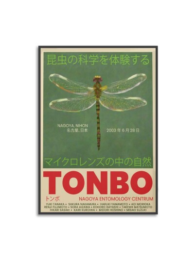 Plakat TONBO Plakat TONBO