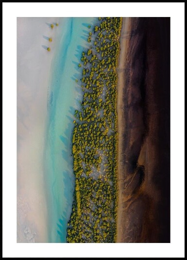 Mangrove Symphony Plakat Plakat / 100x150cm Mangrove Symphony Plakat Plakat / 100x150cm