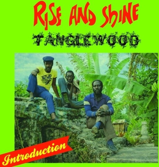 Tanglewood Rise And Shine Vinyl