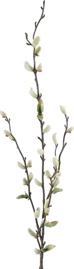 Mr Plant Gåsunger 85 cm grønn