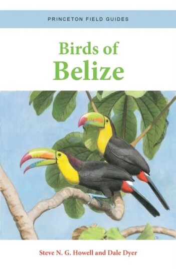 Birds Of Belize Av Steve N. G. Howell, Dale Dyer