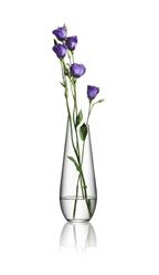 Orrefors Enjoy Vase/Karaffel Orrefors Enjoy Vase/Karaffel